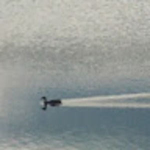 Meet your Posher, Shaunte'